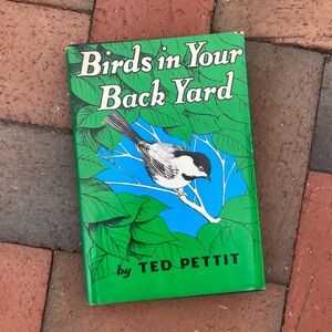 Birds in Your Backyard Chickadee Spring Songbird Cardinal Birdhouse Animals